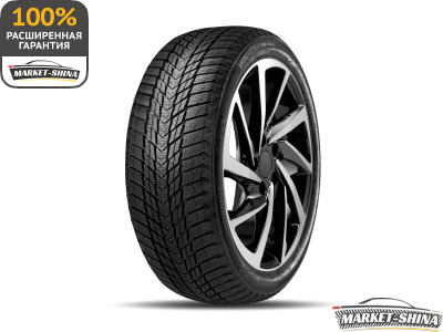 Roadstone Winguard Ice Plus 225/55 R17 101T