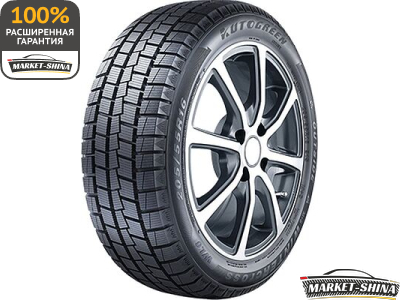 Autogreen WL6 205/55 R16 91S