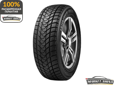 Delinte Winter WD1 205/55 R16 91H