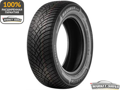 Double Star DLA01 205/55 R16 94V