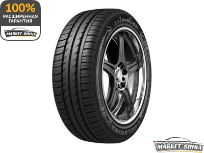 Belshina Artmotion 225/55 R16 95V