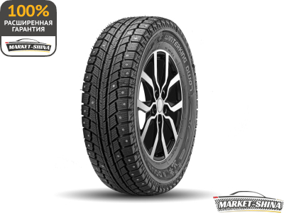 Double Star DW07 205/55 R16 91T