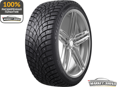 Triangle IcelynX TI501 205/50 R17 93T