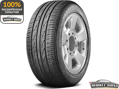 Rydanz Reac R05 205/55 R16 94V