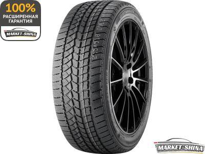 Double Star Winterking DW02 215/70 R15 98S