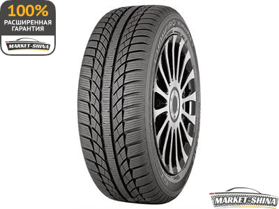 GT Radial Champiro WinterPro 215/55 R16 93H