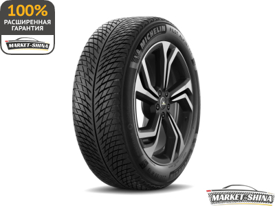 Michelin Pilot Alpin 5 225/60 R18 104H