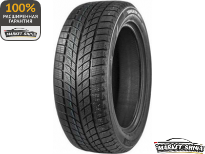 Double Star DW09 255/50 R19 107T