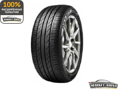 Delinte DH3 205/45 R17 84V