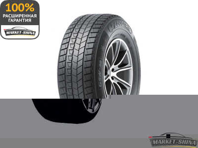 Gripmax SureGrip Pro Winter 255/40 R20 101V