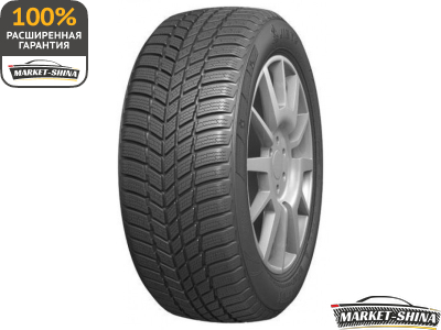 Evergreen Winter EW66 255/50 R19 107H