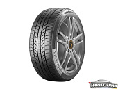 ContiWinterContact TS 870 P
